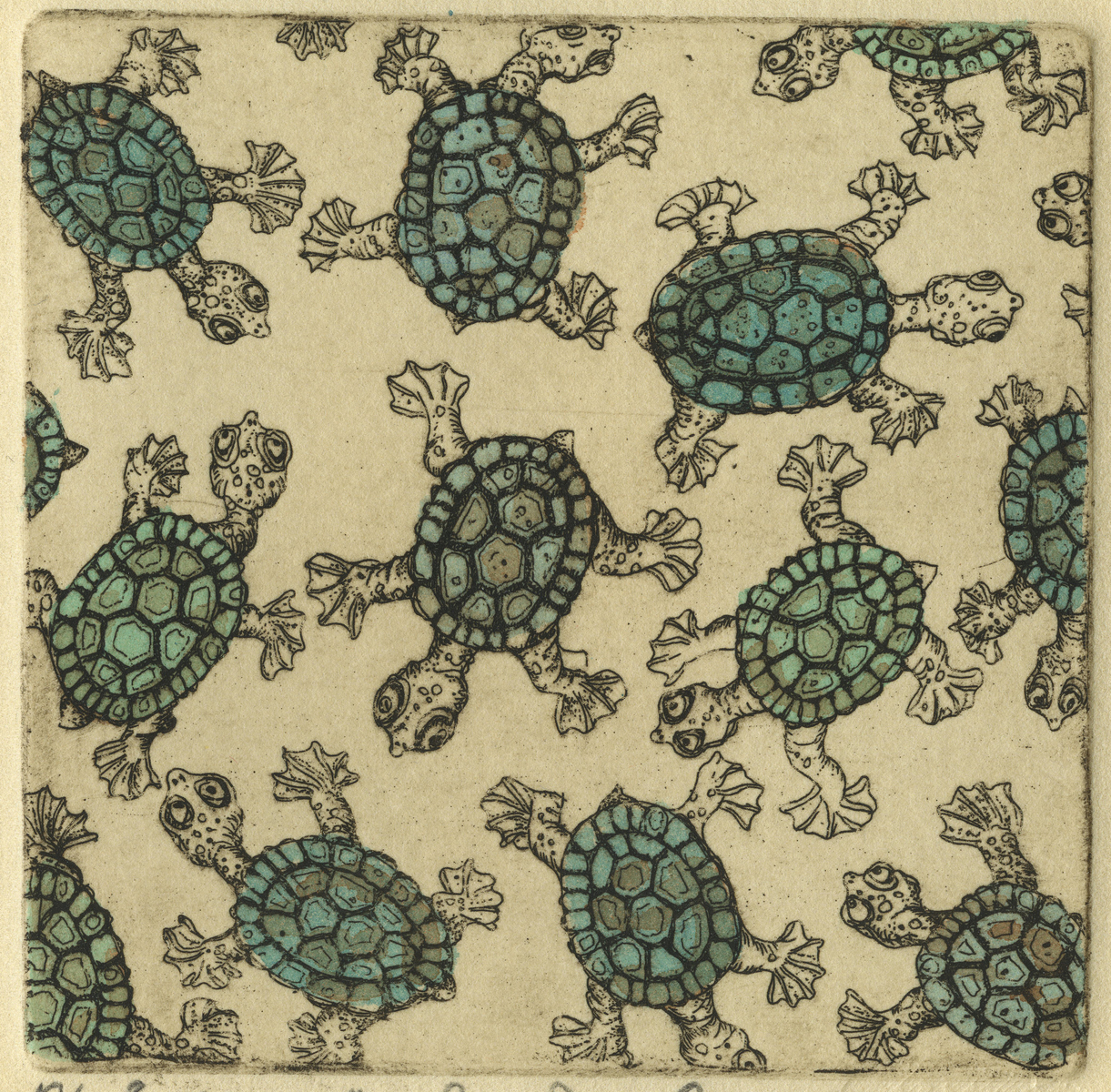 Congregated Creatures – Turtles