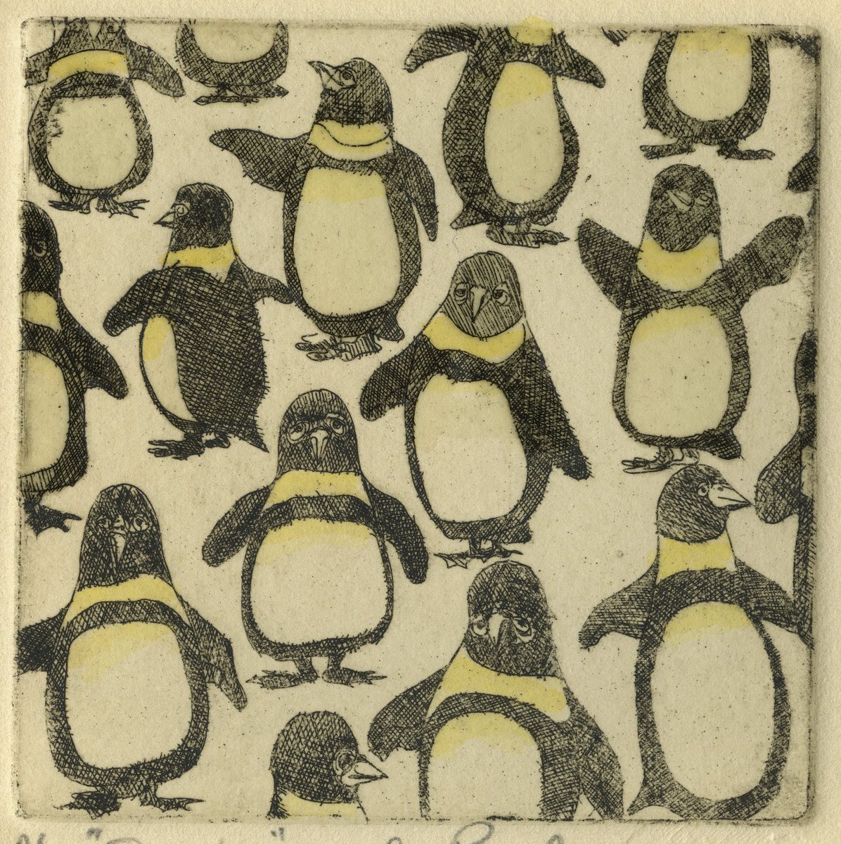 Congregated Creatures – Penguins