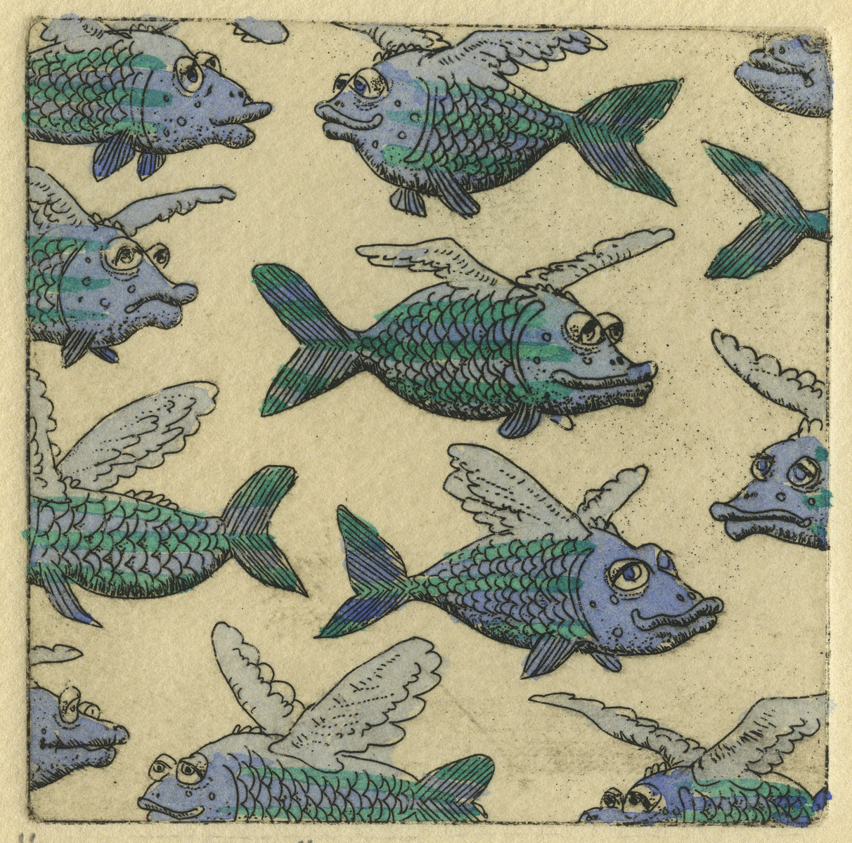 Flying Fish : Congregated Images