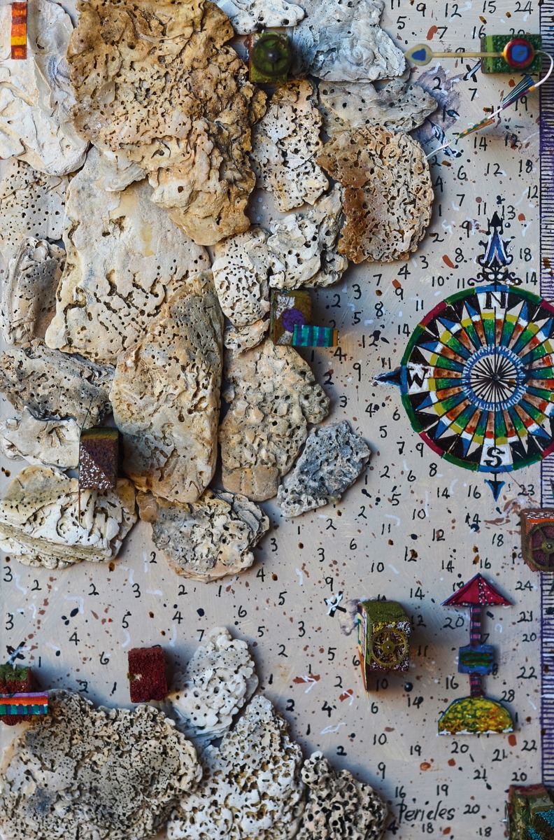 13 x 20 : Swan River Fossils